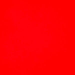 Meet your Posher, Sammy